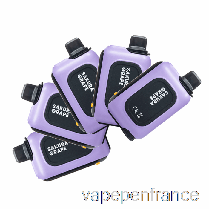 [Paquet De 5] Stylo Vape Jetable Instabar Wt15000